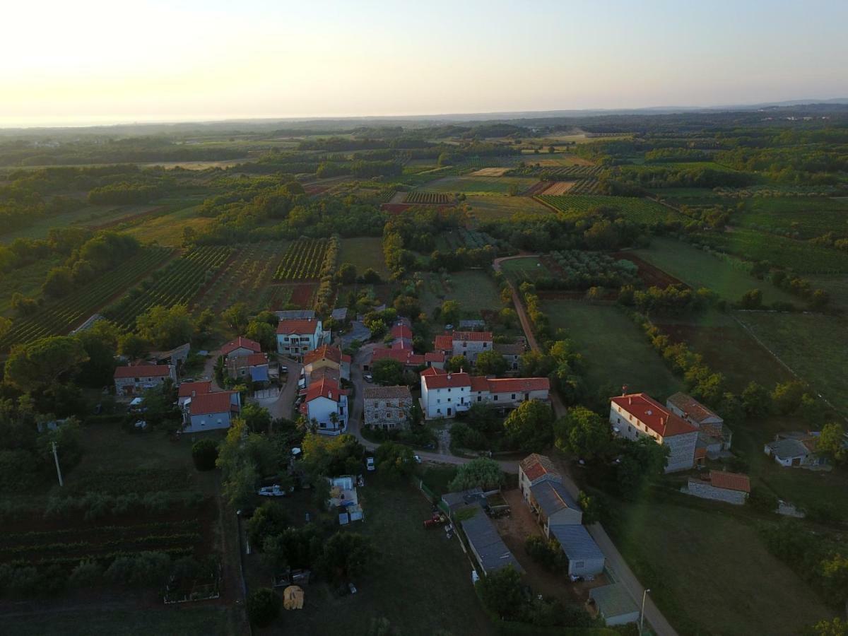 The Village Novigrad Istria Kültér fotó